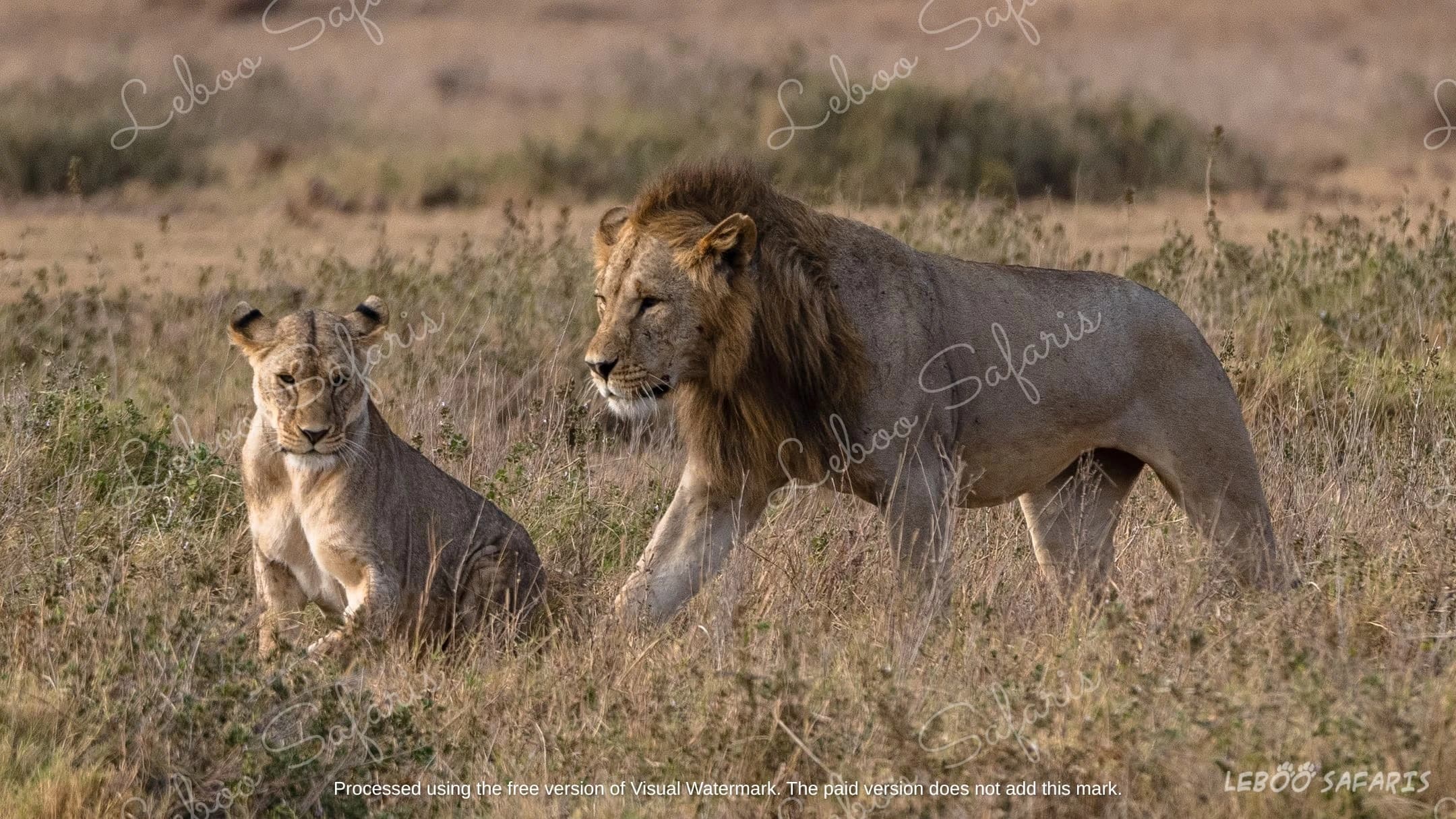 Karibu Tanzania