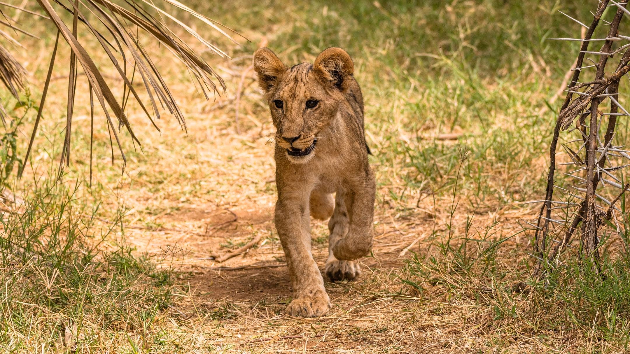 HELLO AND WELCOME TO KENYA!