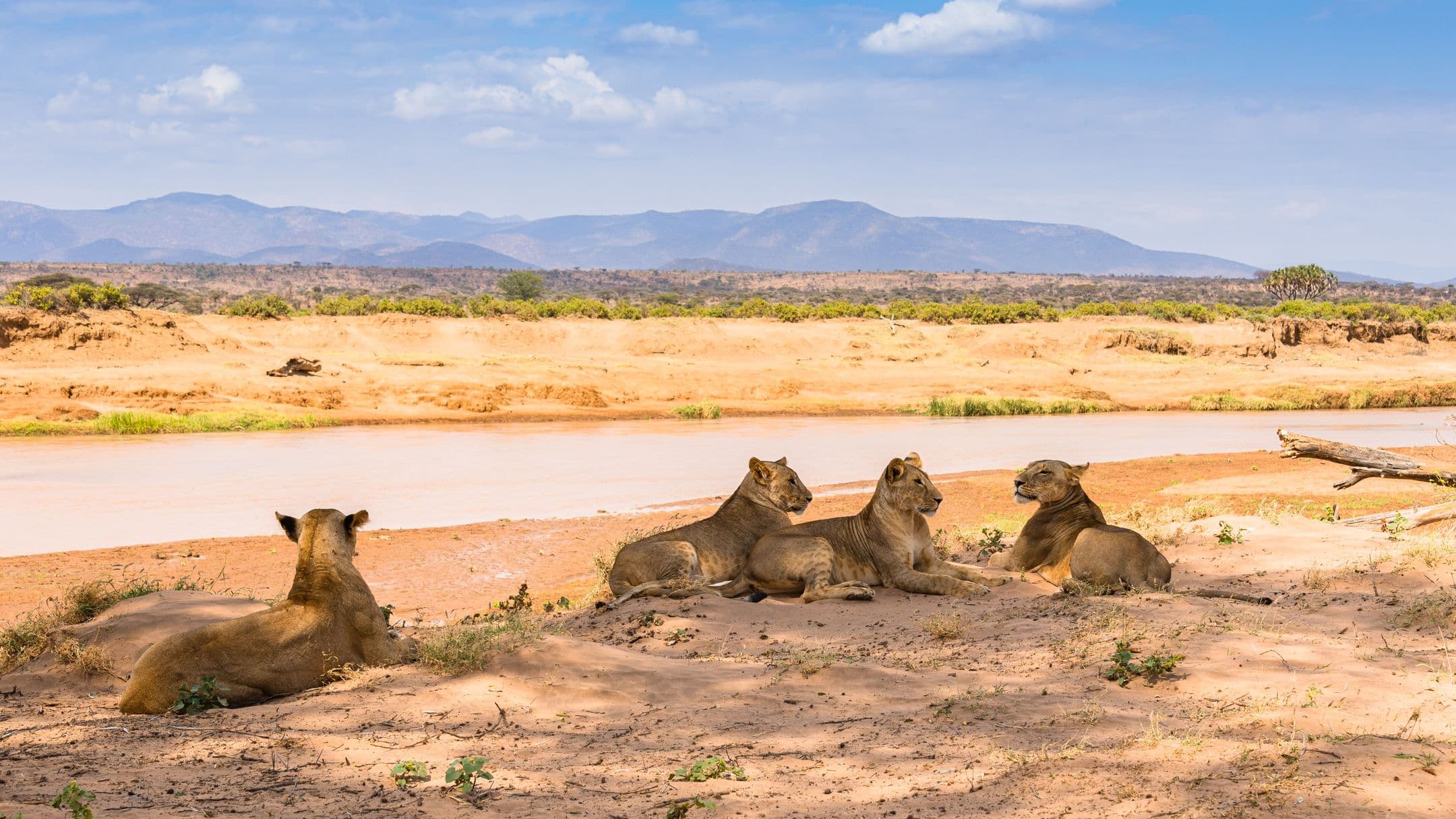 HELLO AND WELCOME TO TANZANIA!