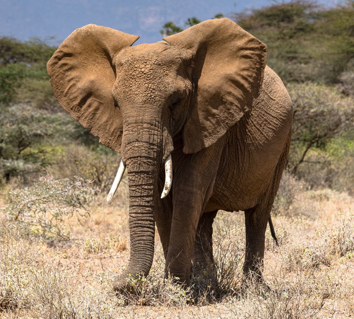 AMAZING NATIONAL PARKS