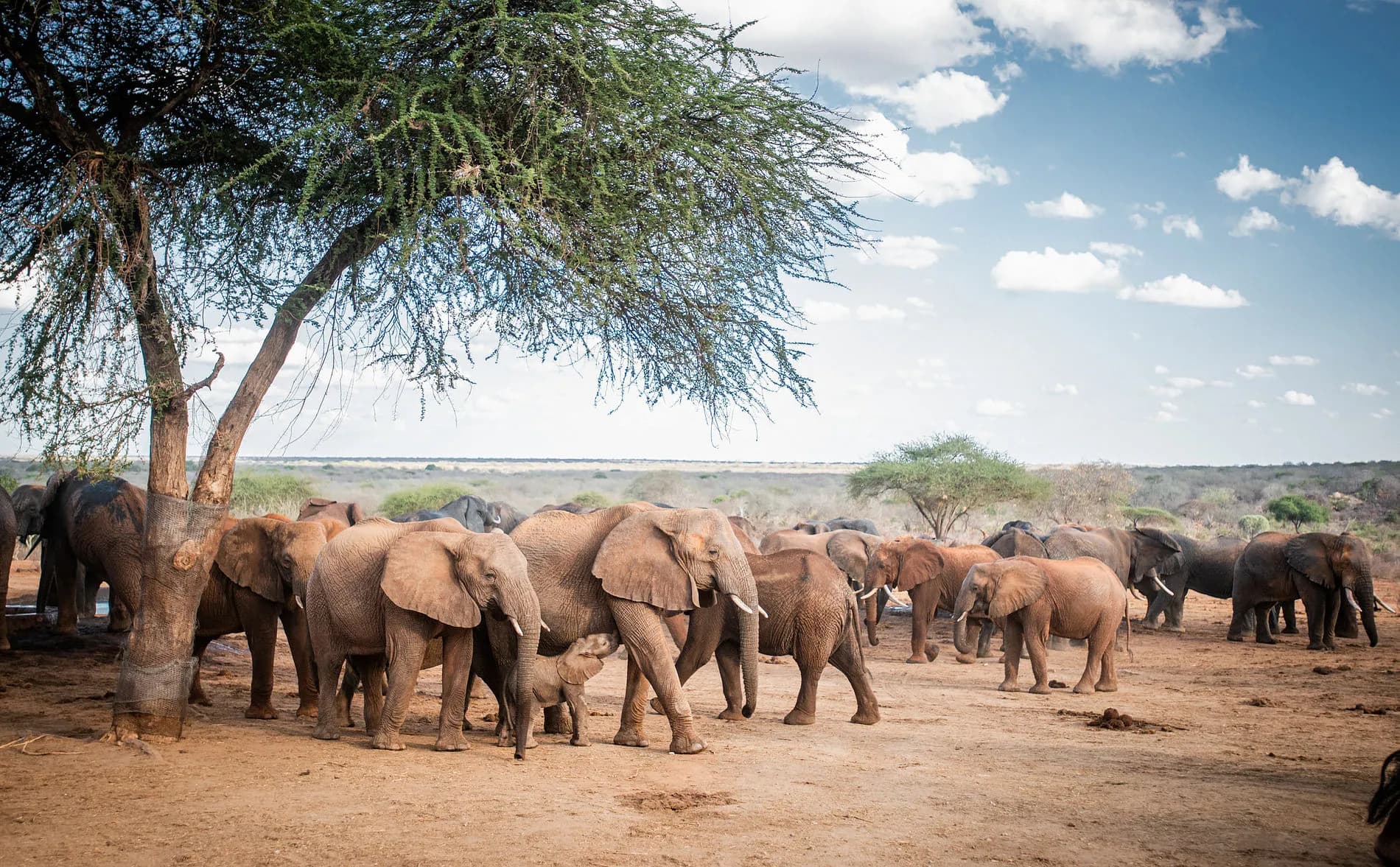 Leboo Safaris - Experience Wild Adventure Safaris