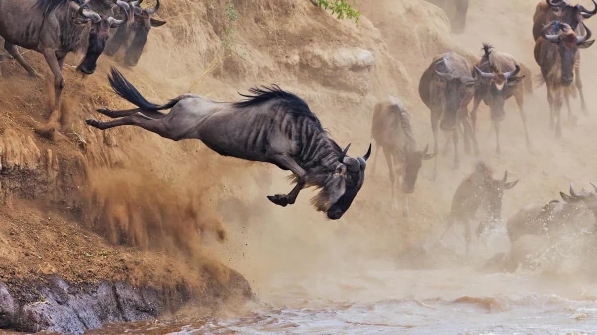 Leboo Safaris - Experience Wild Adventure Safaris