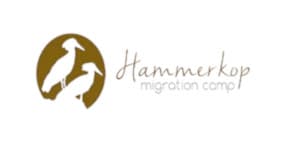 Leboo Safaris partners with Hammerkop Migration Camp for immersive safari experiences in the heart of the Serengeti migration.